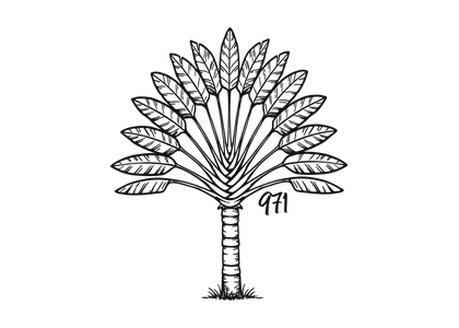 Illustration Arbre du voyageur 971 en noir