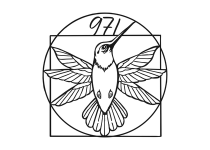 Illustration Colibri 971 en noir